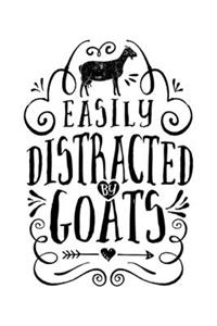 Easily Distracted by Goats