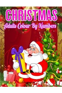 Christmas Adults Colour By Numbers