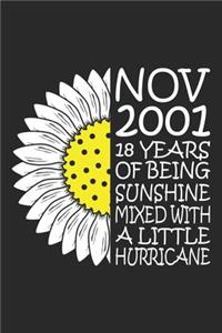 November 2001 18 Years Of Being Sunshine