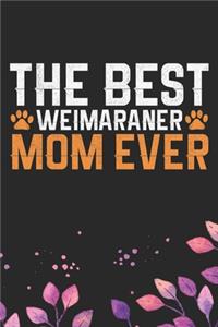 The Best Weimaraner Mom Ever