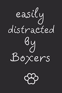 Easily distracted by Boxers
