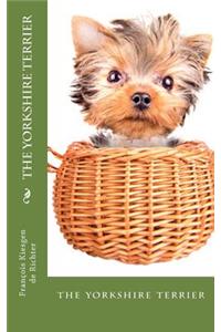 yorkshire terrier