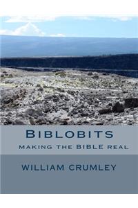 Biblobits
