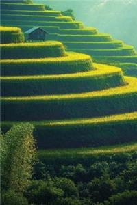 Green Tiers Notebook