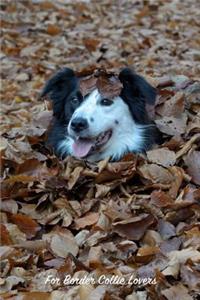 For Border Collie Lovers