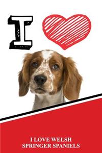 I Love Welsh Springer Spaniels