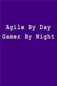 Agile by Day Gamer by Night