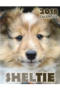 Sheltie 2018 Calendar (UK Edition)