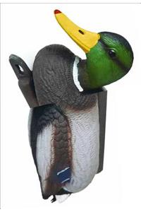 No New Kind of Duck