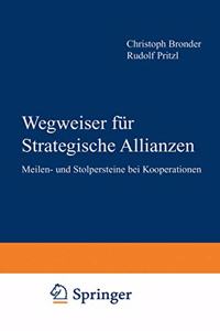 Wegweiser Fur Strategische Allianzen
