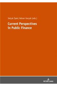 Current Perspectives in Public Finance