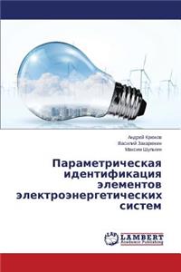 Parametricheskaya identifikatsiya elementov elektroenergeticheskikh sistem