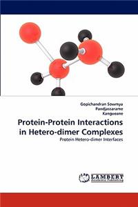 Protein-Protein Interactions in Hetero-dimer Complexes