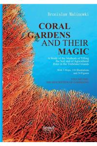 Coral gardens and their magic