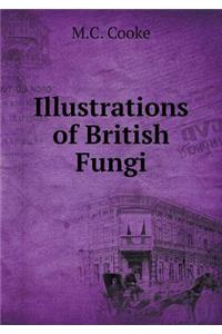 Illustrations of British Fungi