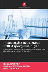 PRODUÇÃO INULINASE POR Aspergillus niger