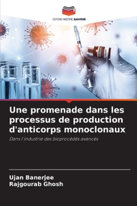 promenade dans les processus de production d'anticorps monoclonaux