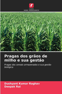 Pragas dos grãos de milho e sua gestão