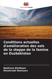 Conditions actuelles d'amélioration des sols de la steppe de la famine en Ouzbékistan