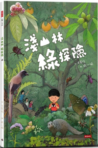 Light Mountain Forest Adventure