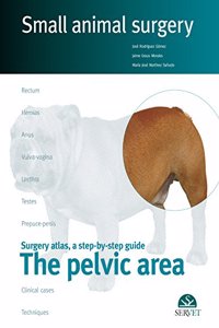 Pelvic Area: Small Animal Surgery
