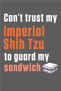 Can't trust my Imperial Shih Tzu to guard my sandwich