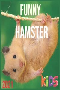 Funny Hamster