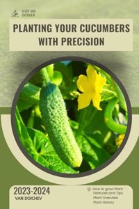 Planting Your Cucumbers with Precision