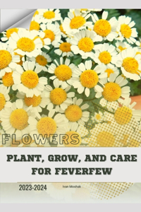 Plant, Grow, and Care for Feverfew