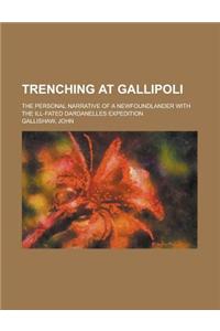 Trenching at Gallipoli; The Personal Narrative of a Newfoundlander with the Ill-Fated Dardanelles Expedition