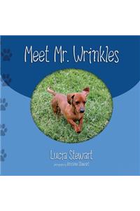 Meet Mr. Wrinkles