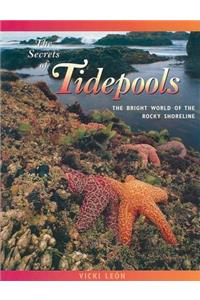 The Secrets of Tidepools