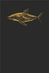 Shark Drawing