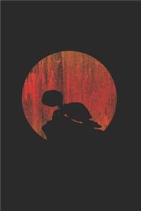 Turtle Silhouette