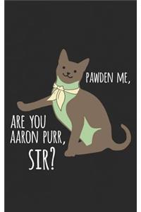 Are You Aaron Purr