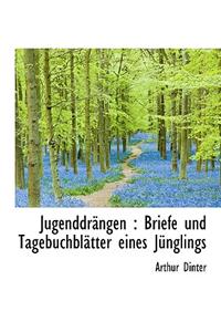 Jugenddrangen: Briefe Und Tagebuchblatter Eines Junglings