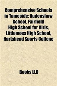 Comprehensive Schools in Tameside
