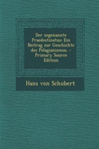 Der Sogenannte Praedestinatus