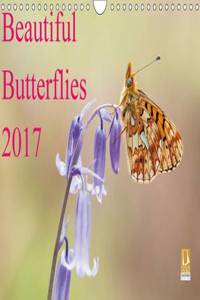 Beautiful Butterflies  2017