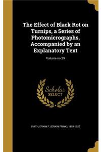 The Effect of Black Rot on Turnips, a Series of Photomicrographs, Accompanied by an Explanatory Text; Volume no.29