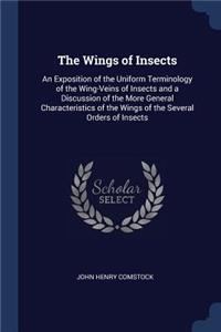Wings of Insects