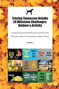 Treeing Tennessee Brindle 20 Milestone Challenges