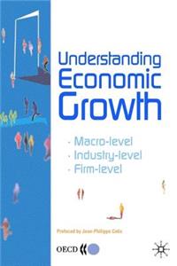 Understanding Economic Growth