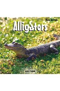 Alligators