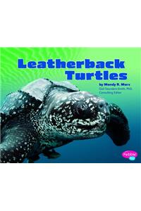 Leatherback Turtles