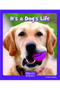 It's a Dog's Life