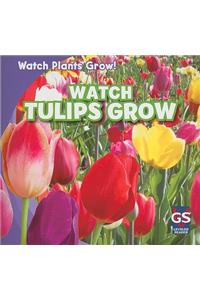 Watch Tulips Grow