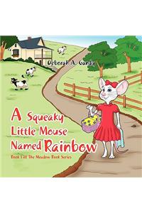 A Squeaky Little Mouse Named Rainbow