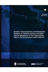 Seafloor Characteristics and Distribution Patterns of Lophelia pertusa and Other Sessile Megafauna at Two Upper-Slope Sites in the Northeastern Gulf of Mexico