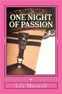 One Night of Passion